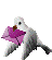 mail-bird